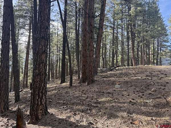 0.31 Acres of Residential Land for Sale in Bayfield, Colorado