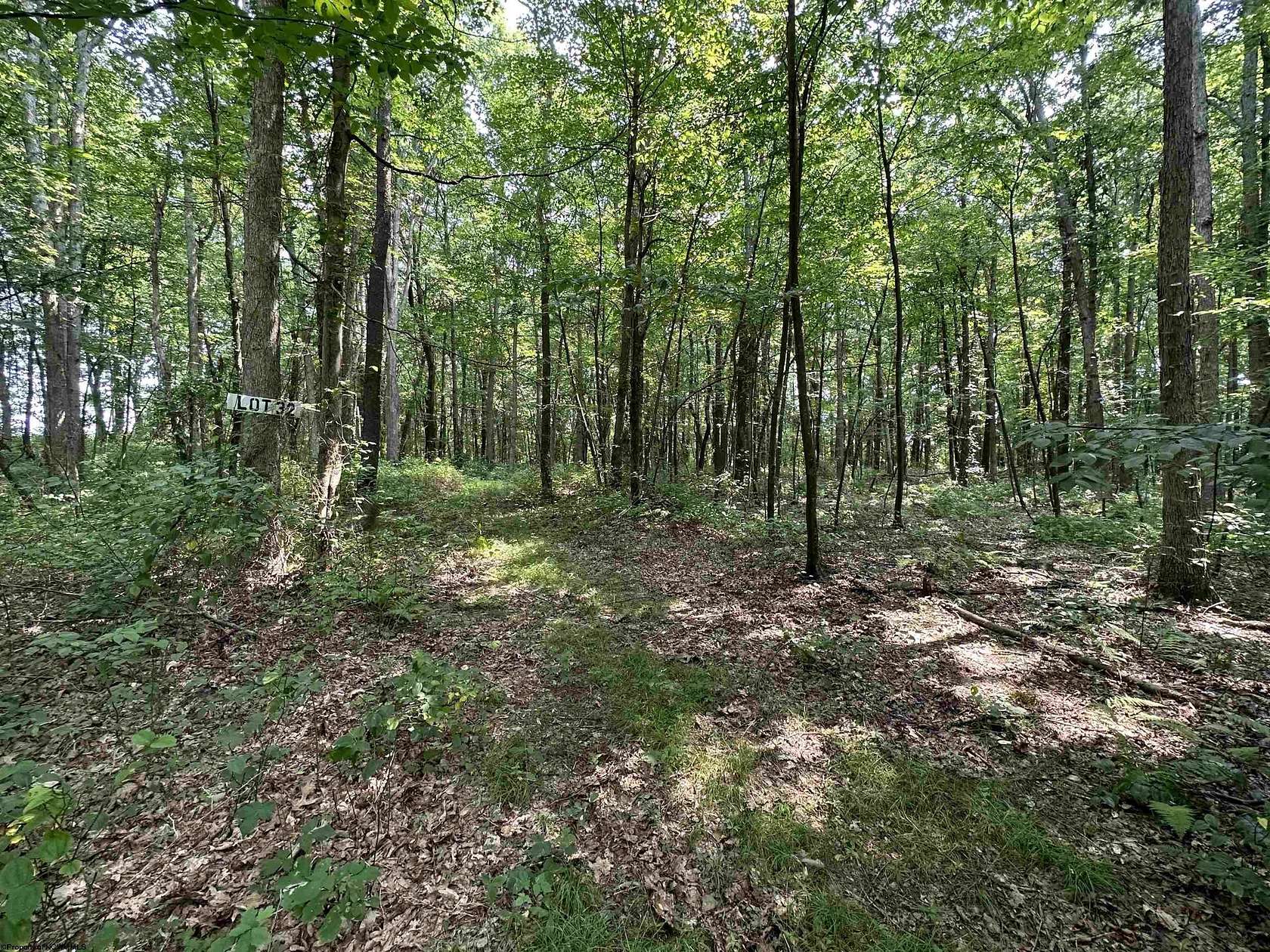 1.83 Acres of Residential Land for Sale in Albright, West Virginia