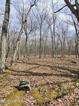 0.66 Acres of Residential Land for Sale in Hawley, Pennsylvania