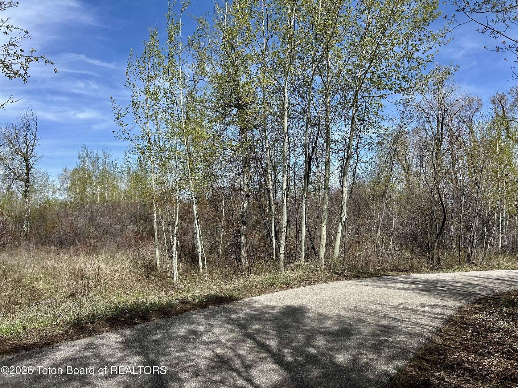 0.8 Acres of Residential Land for Sale in Driggs, Idaho