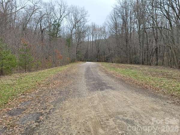 106 Acres of Land for Sale in Burnsville, North Carolina