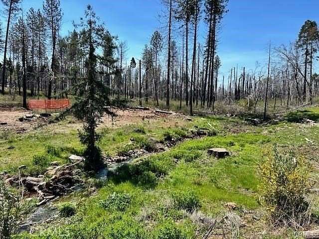 0.24 Acres of Residential Land for Sale in Magalia, California