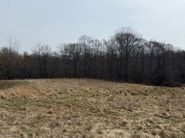 59.1 Acres of Land for Auction in Madison, Ohio