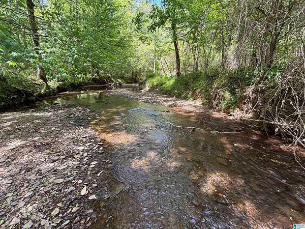 15 Acres of Recreational & Residential Land for Sale in Parrish, Alabama