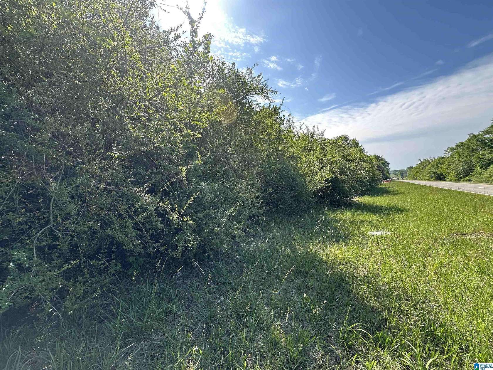 5.39 Acres of Residential Land for Sale in Randolph, Alabama