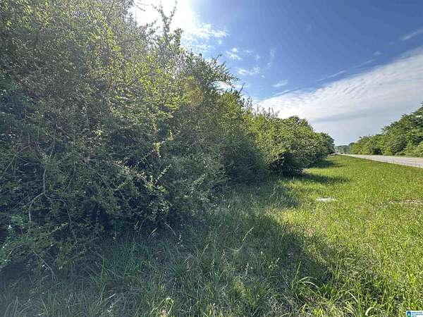 5.39 Acres of Residential Land for Sale in Randolph, Alabama