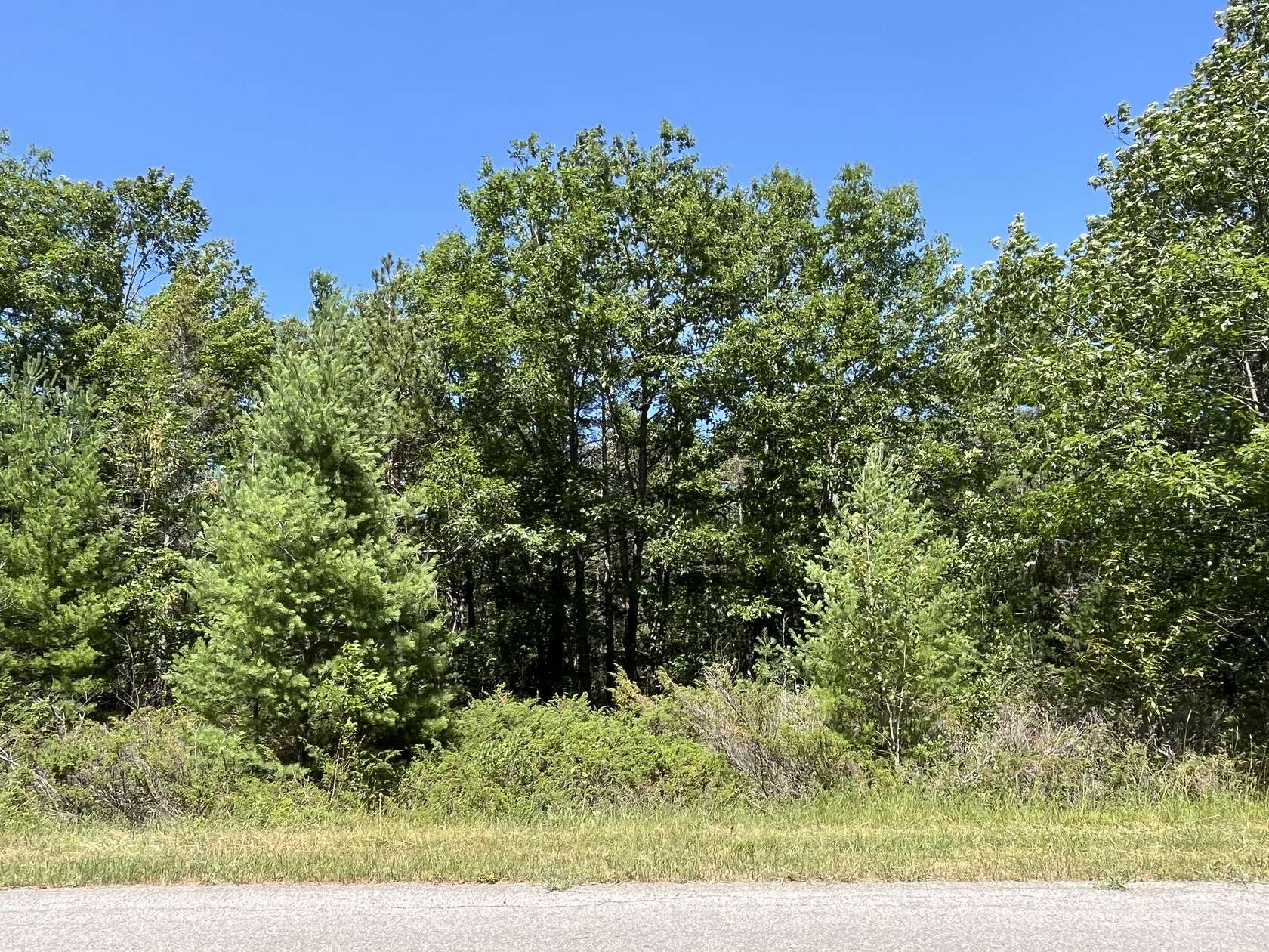 0.67 Acres of Residential Land for Sale in Presque Isle, Michigan
