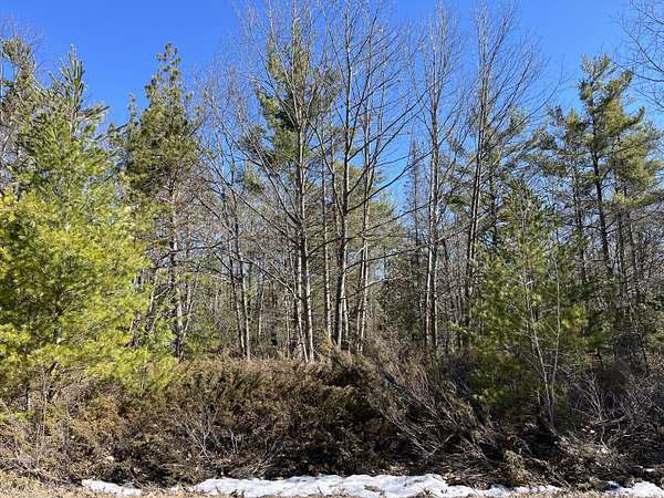 0.67 Acres of Residential Land for Sale in Presque Isle, Michigan