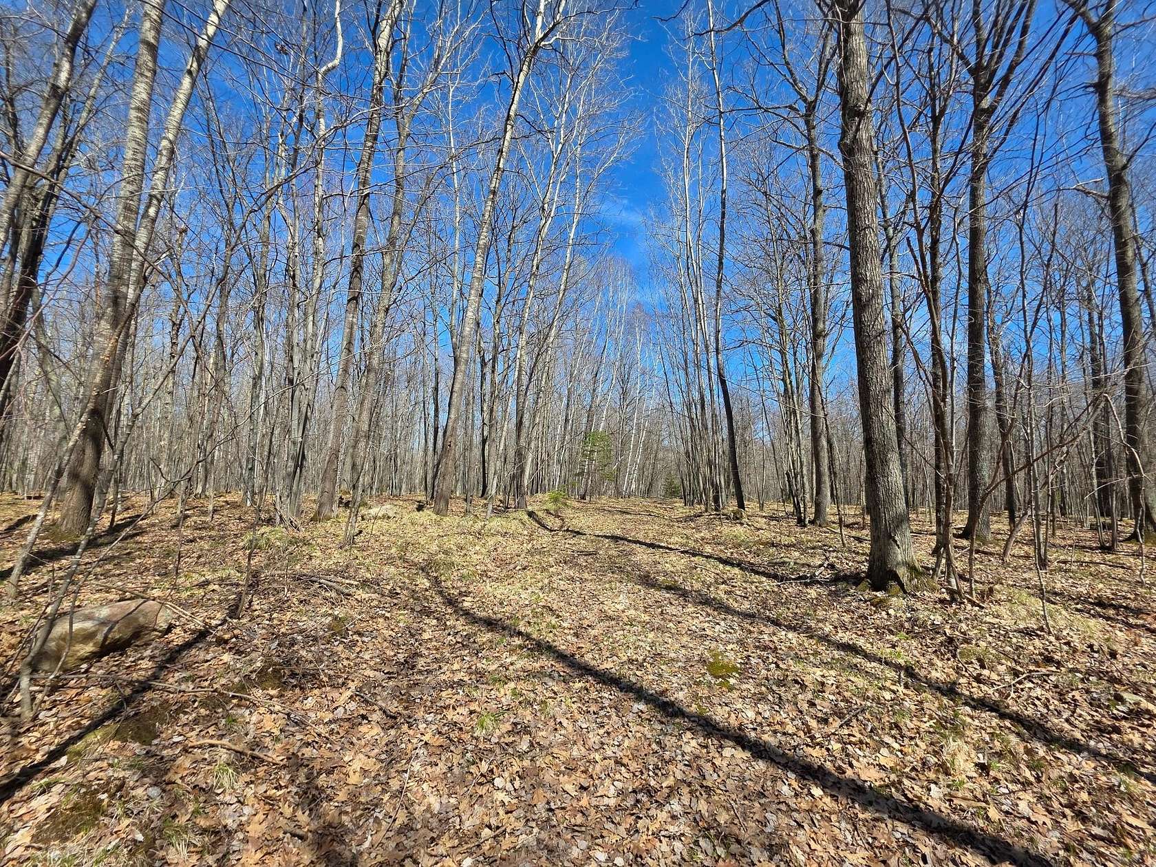 5.29 Acres of Land for Sale in Tomahawk, Wisconsin