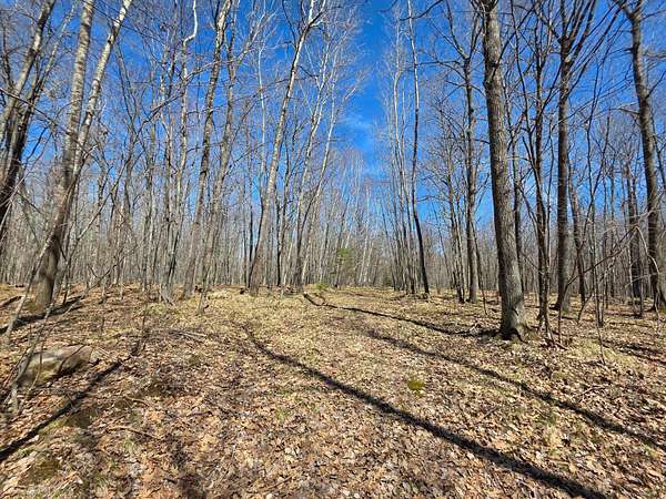 5.29 Acres of Land for Sale in Tomahawk, Wisconsin