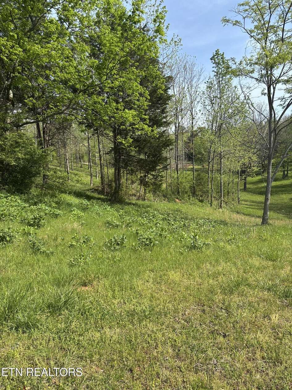 1.5 Acres of Residential Land for Sale in Rockwood, Tennessee