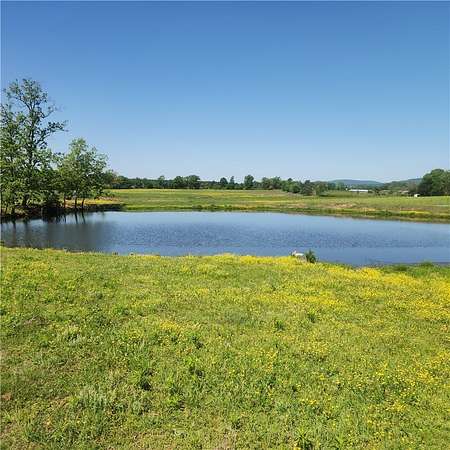 103 Acres of Agricultural Land with Home for Sale in Hector, Arkansas