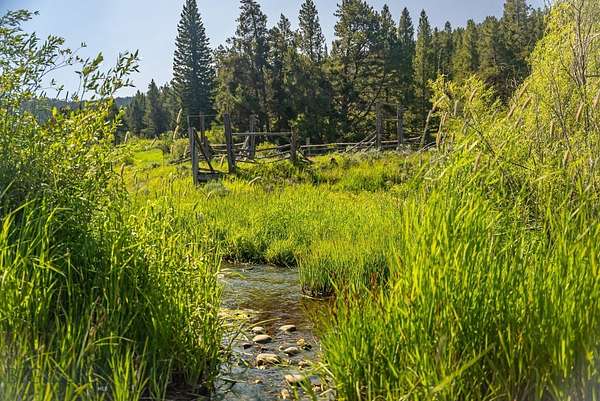 160 Acres of Land for Sale in Bozeman, Montana