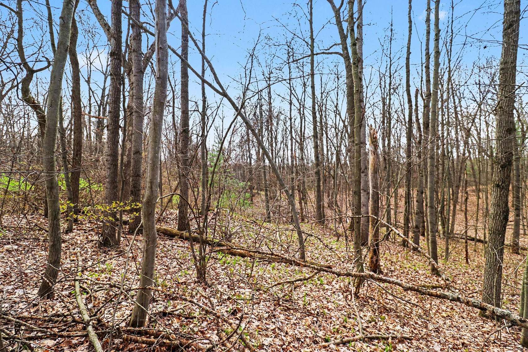 2 Acres of Residential Land for Sale in Cedar Springs, Michigan