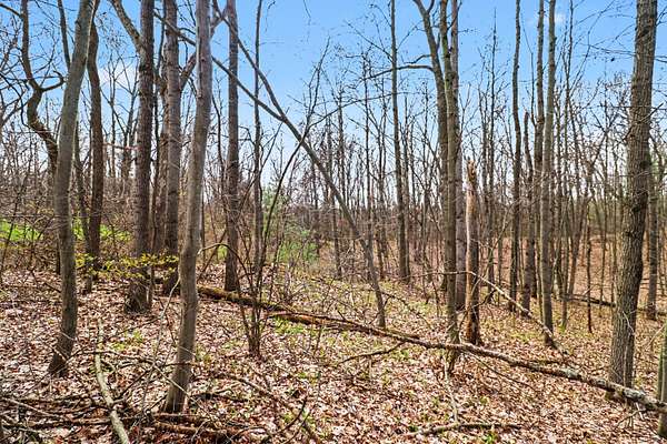 2 Acres of Residential Land for Sale in Cedar Springs, Michigan