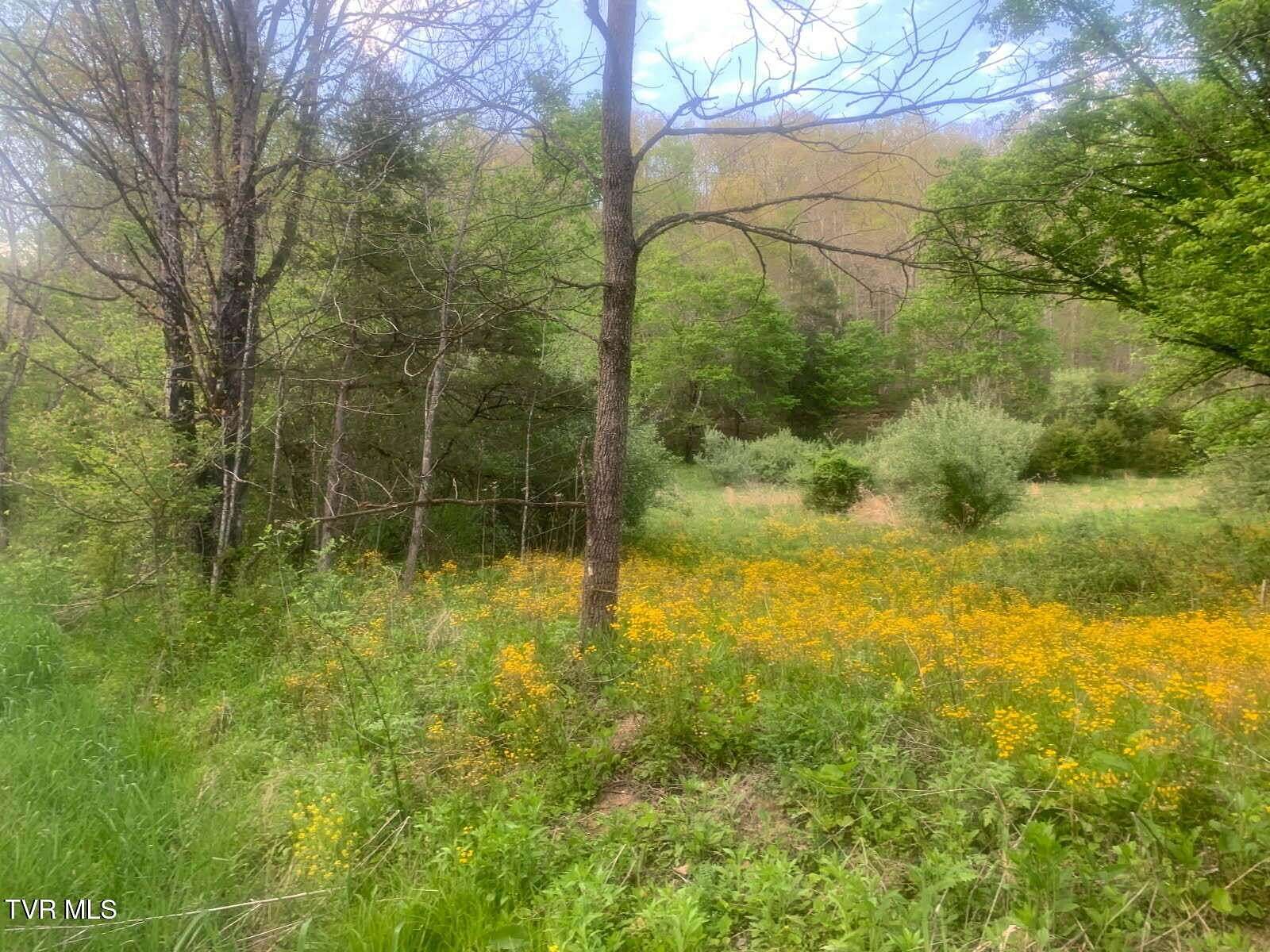 7.23 Acres of Recreational Land for Sale in Dungannon, Virginia