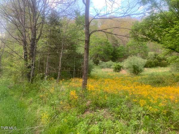 7.23 Acres of Recreational Land for Sale in Dungannon, Virginia