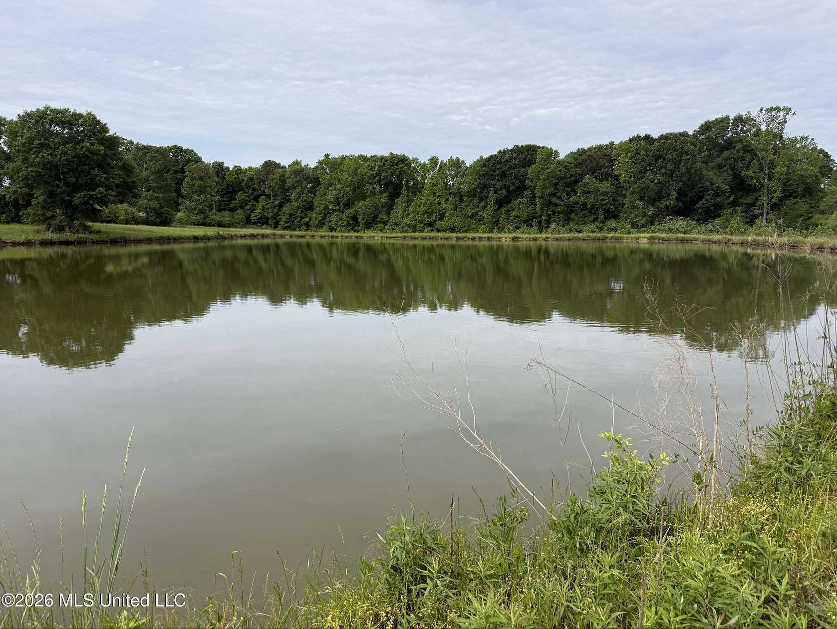 100 Acres of Land for Sale in Jayess, Mississippi