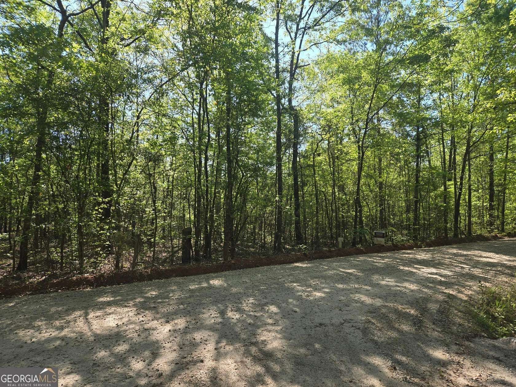 16.1 Acres of Land for Sale in Concord, Georgia