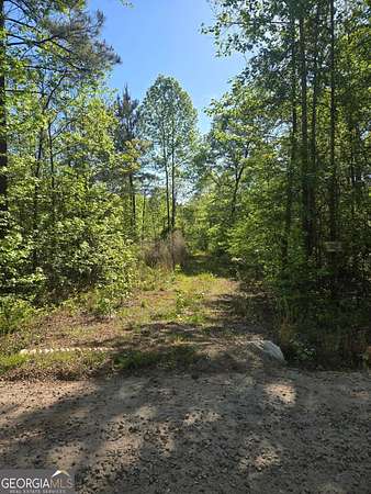 16.1 Acres of Land for Sale in Concord, Georgia
