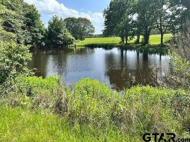 24 Acres of Recreational & Residential Land for Sale in Fruitvale, Texas