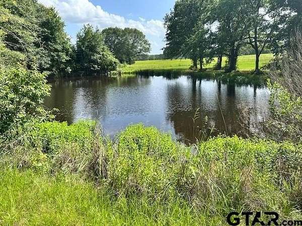 24 Acres of Recreational & Residential Land for Sale in Fruitvale, Texas