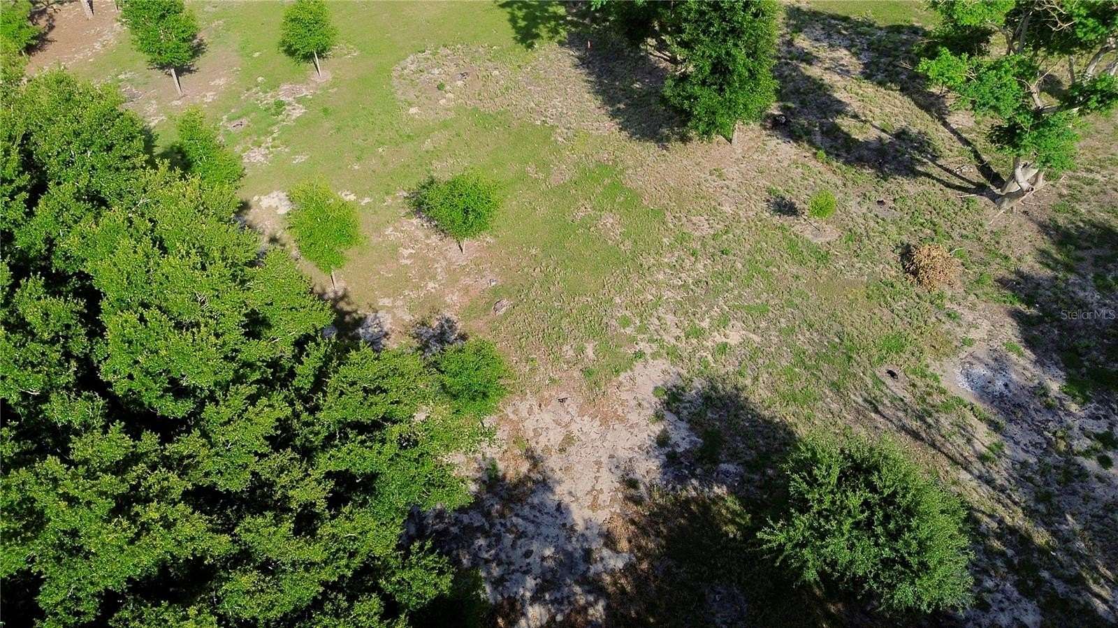 4.36 Acres of Residential Land for Sale in Leesburg, Florida