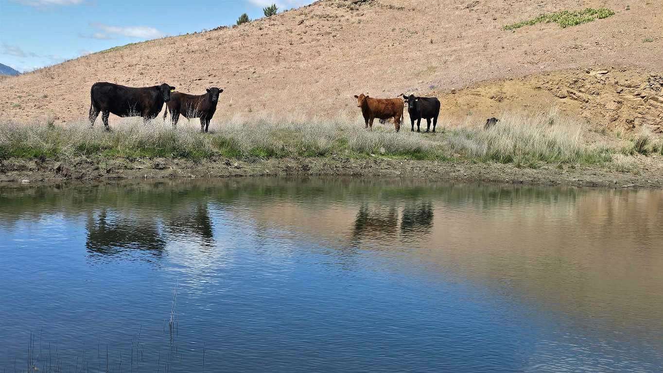 240 Acres of Recreational Land for Sale in Montague, California