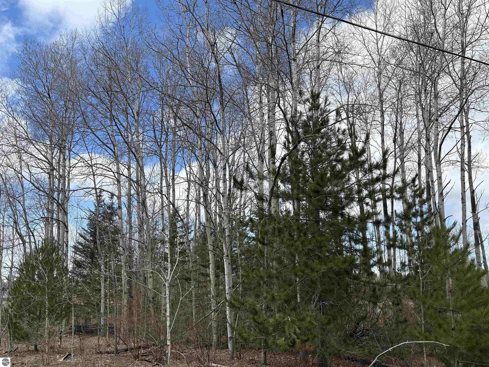 2.7 Acres of Commercial Land for Sale in Honor, Michigan