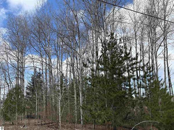 2.7 Acres of Commercial Land for Sale in Honor, Michigan