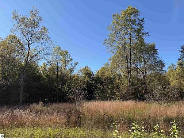 3.3 Acres of Land for Sale in Kalkaska, Michigan