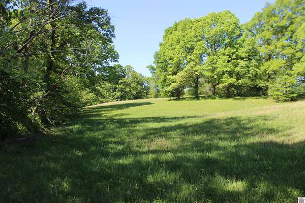 54 Acres of Recreational & Residential Land for Sale in Grand Rivers, Kentucky