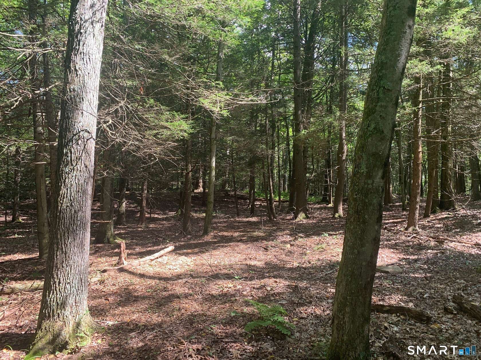 4 Acres of Residential Land for Sale in Roxbury, Connecticut