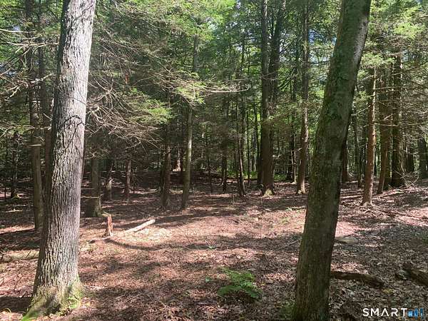 4 Acres of Residential Land for Sale in Roxbury, Connecticut