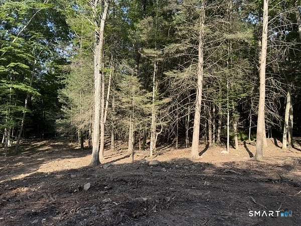 4 Acres of Residential Land for Sale in Roxbury, Connecticut