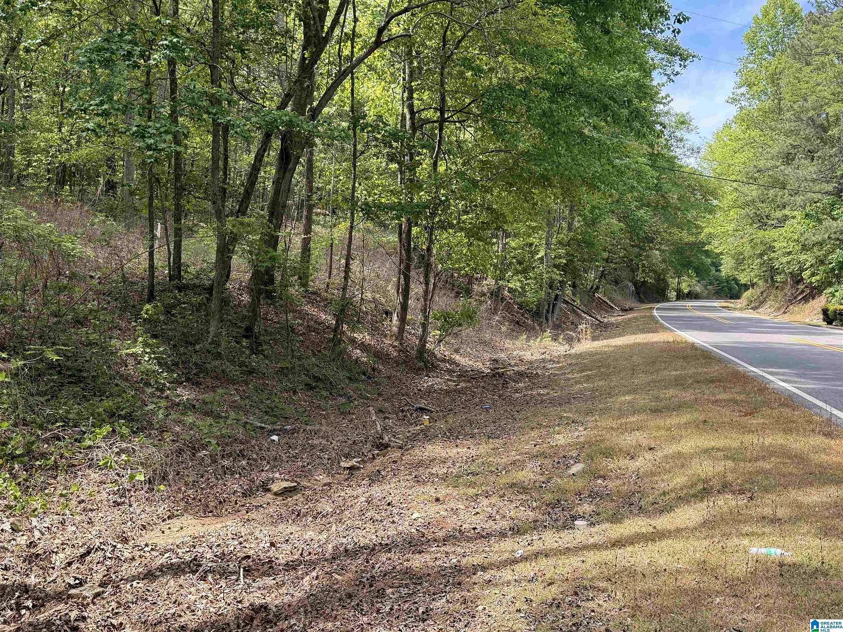 9.5 Acres of Residential Land for Sale in Sylacauga, Alabama