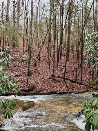 14.5 Acres of Recreational & Residential Land for Sale in Wartburg, Tennessee