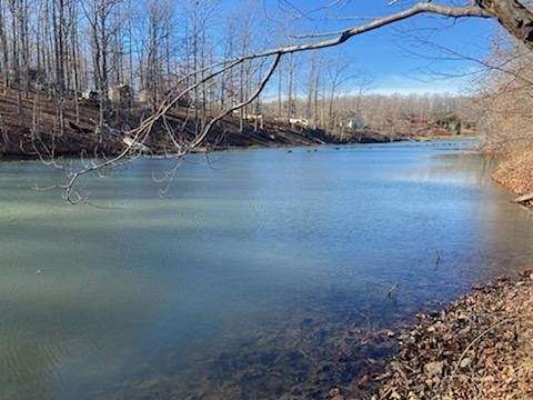 0.24 Acres of Residential Land for Sale in Nunnelly, Tennessee