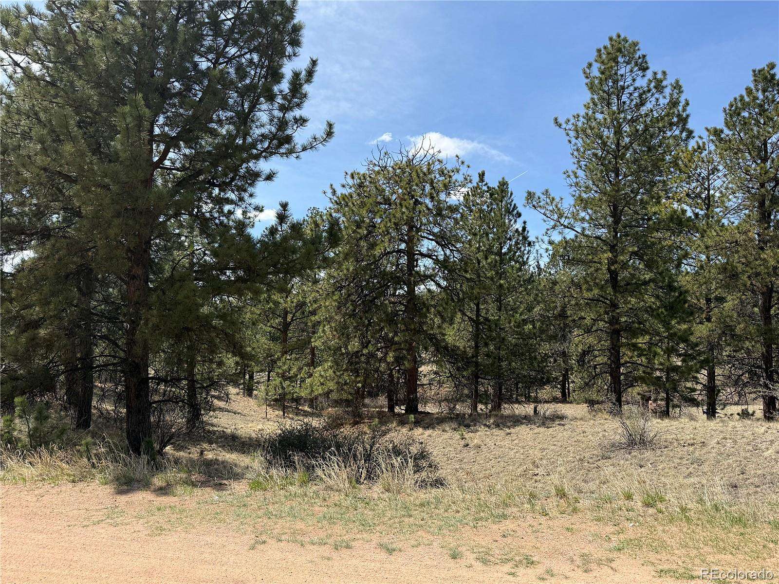 2 Acres of Residential Land for Sale in Florissant, Colorado