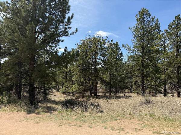 2 Acres of Residential Land for Sale in Florissant, Colorado