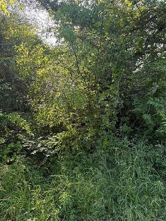 0.16 Acres of Residential Land for Sale in Berryville, Texas
