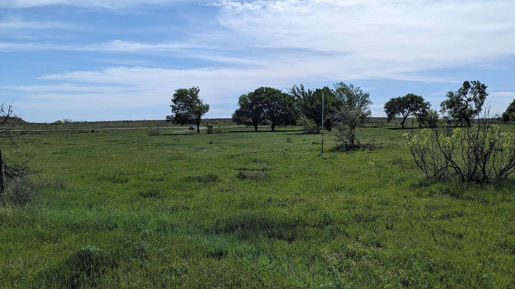 10 Acres of Land for Sale in Bellevue, Texas