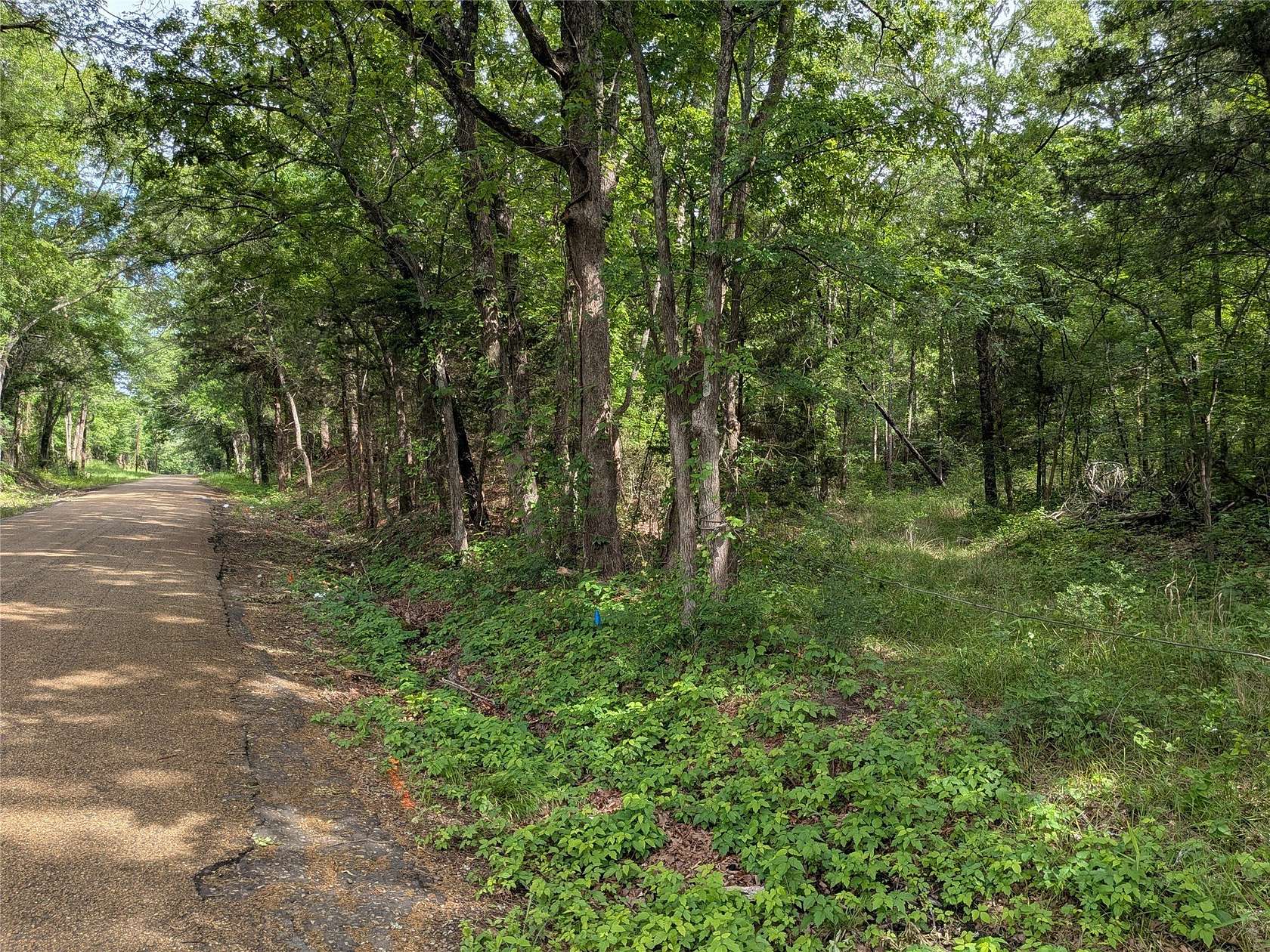 3 Acres of Residential Land for Sale in Fruitvale, Texas