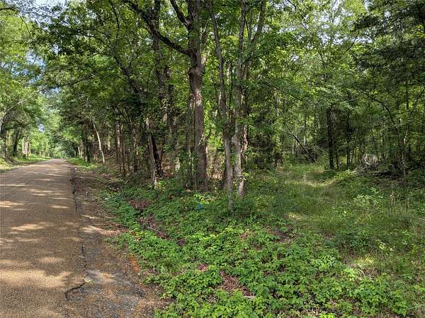 3 Acres of Residential Land for Sale in Fruitvale, Texas