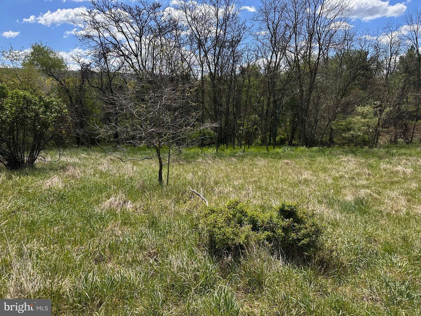 22.5 Acres of Recreational Land for Sale in Berkeley Springs, West Virginia