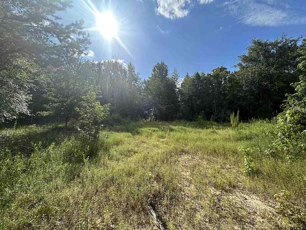 2.2 Acres of Residential Land for Sale in Hallsville, Texas
