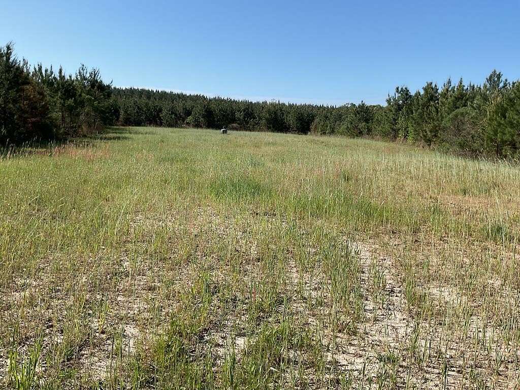 240 Acres of Recreational Land for Sale in Brantley, Alabama