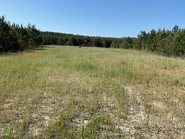 240 Acres of Recreational Land for Sale in Brantley, Alabama