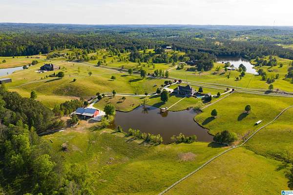 20 Acres of Agricultural Land with Home for Sale in Helena, Alabama