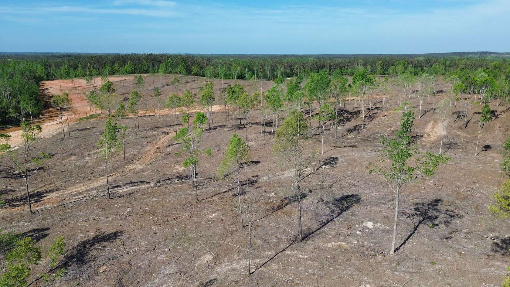 37 Acres of Land for Sale in Michie, Tennessee